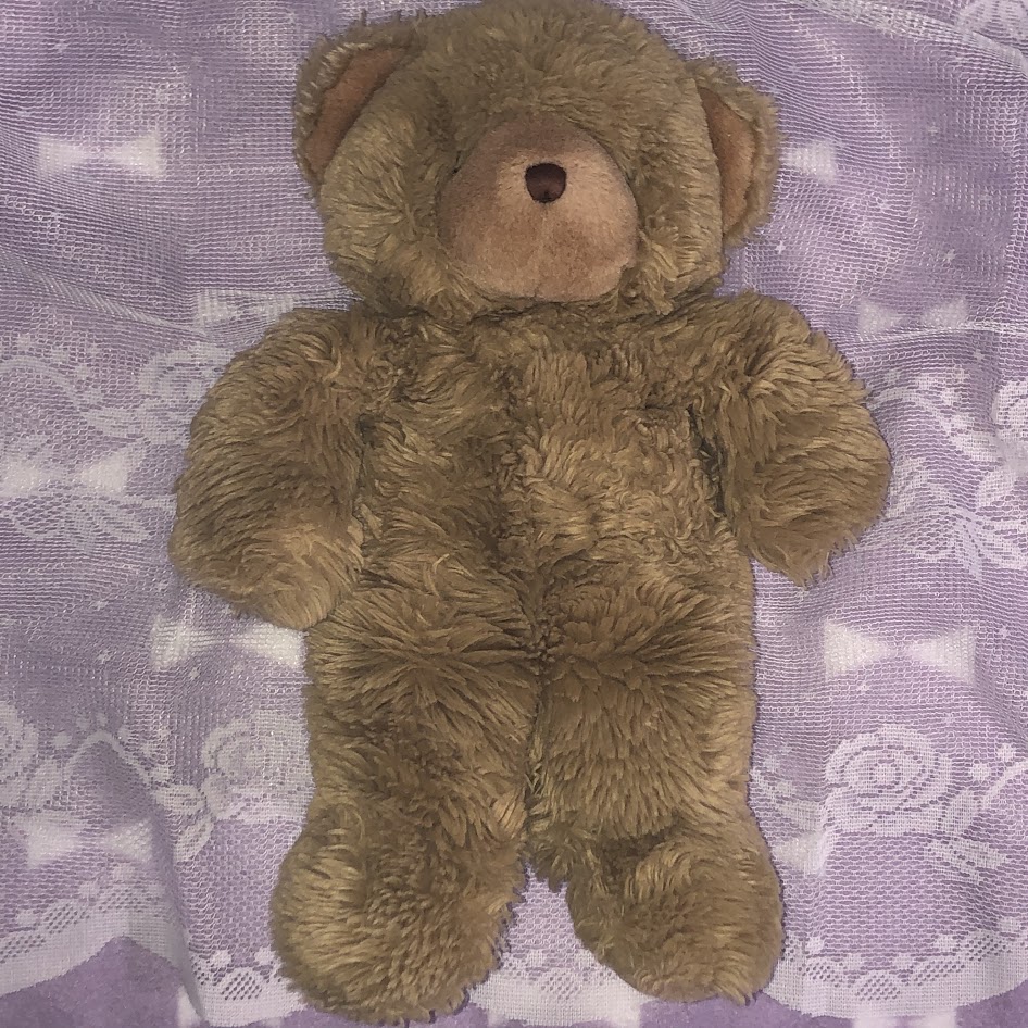 A brown teddy bear