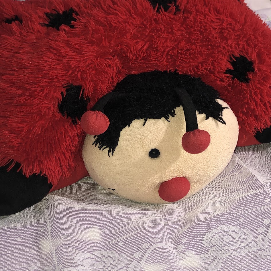 ladybug pillow pet