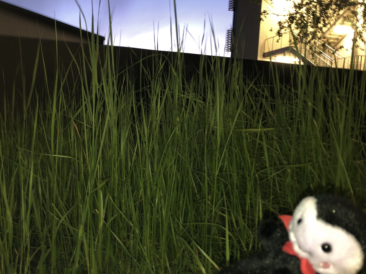 viktor and grass