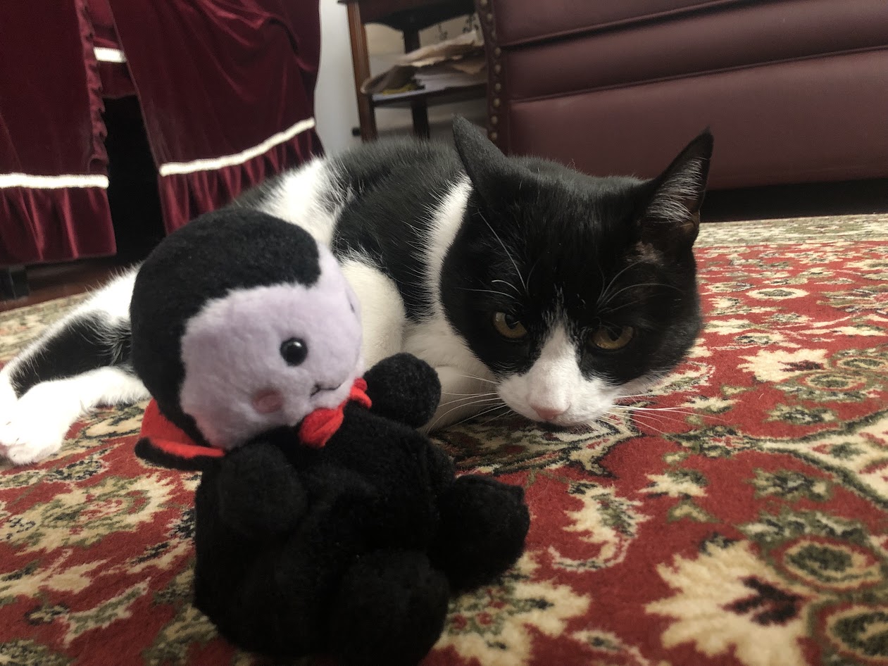viktor & kitty